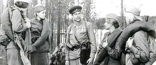 "А зори здесь тихие..." - а были ли немцы?