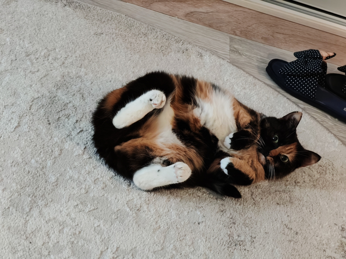 Будьте счастливы! 