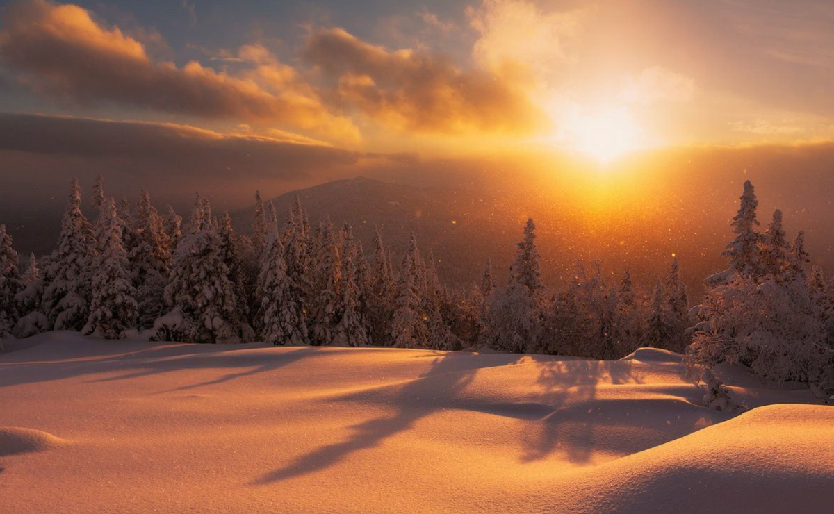 Фото из открытого источника в Яндексе