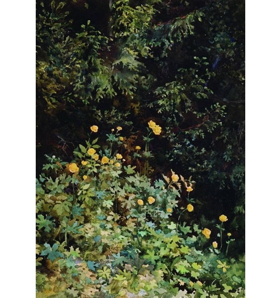  .  . 1885. , .  -   - 