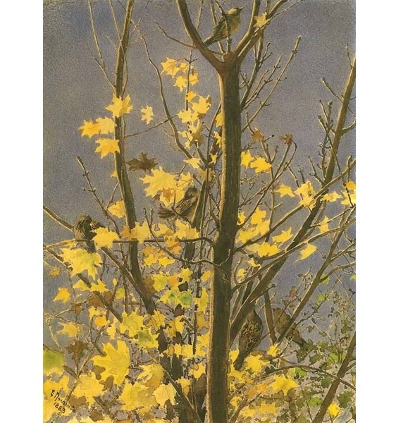  .  . 1883. , . 32,2  24.  