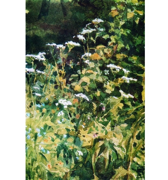  .   . 1883. , .   -   - .. ,  