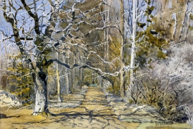 Елена Поленова. К 175-летию со дня рождения