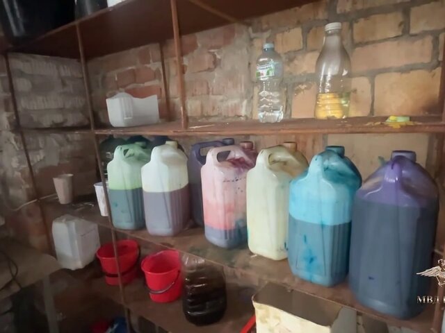    Фото: телеграм-канал "Ирина Волк"