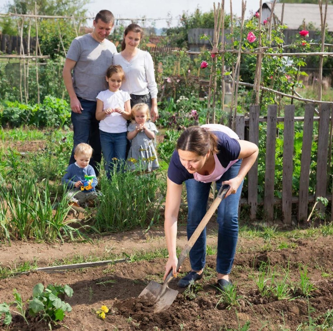 Работа - не волк, в лес не убежит.