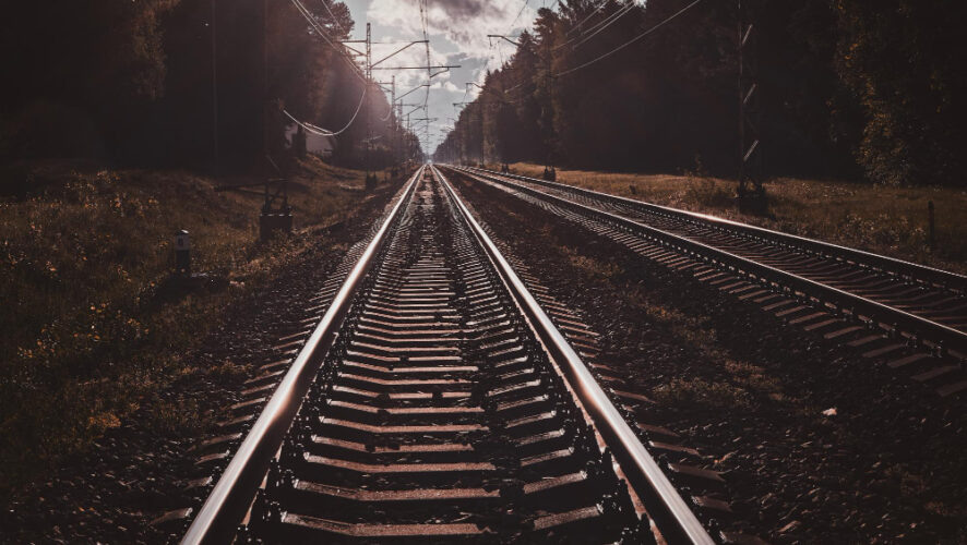    Фото: freepik (fxquadro)