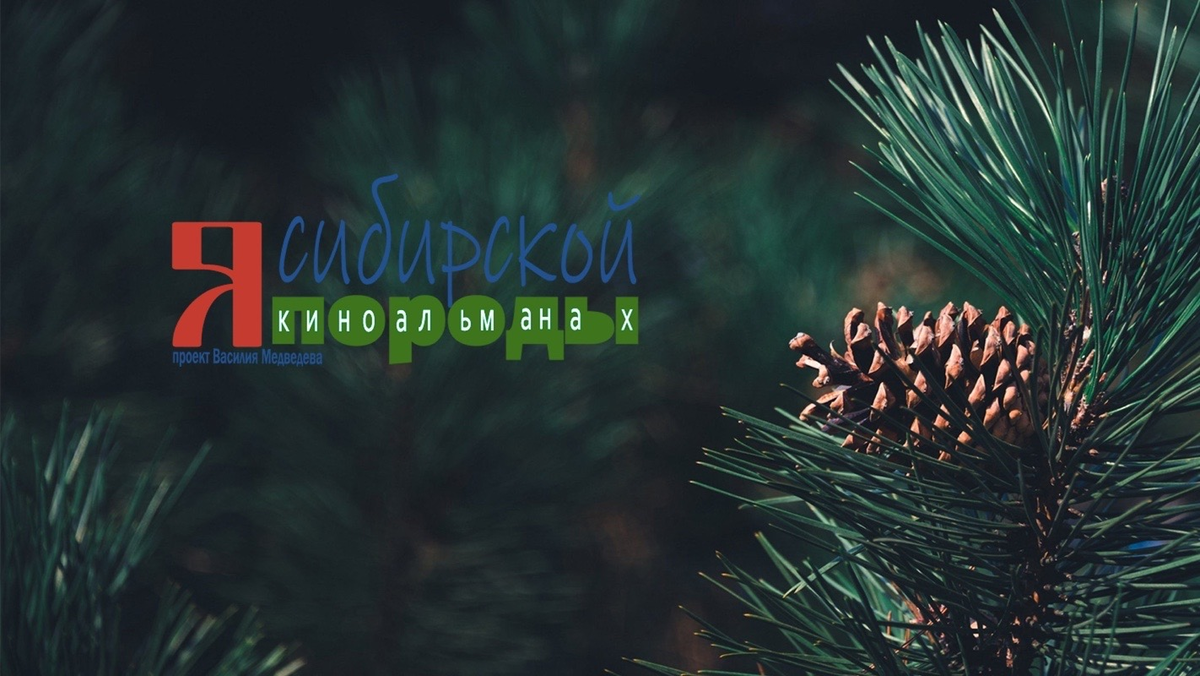 Автор и режиссер киноальманаха про сибиряков — иркутянин Василий Медведев. Фото: vk.com/siberian_breed