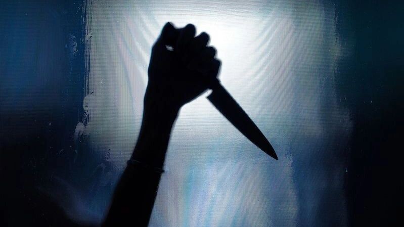    Фото: PCVR-117302/Shutterstock/Fotodom