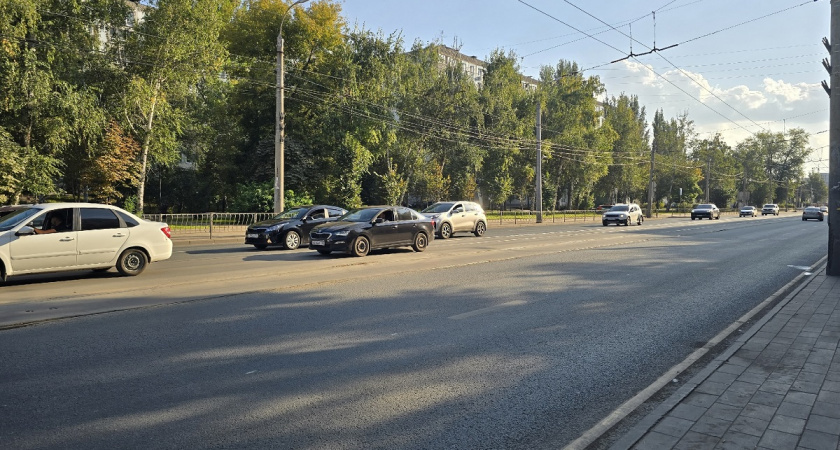    Фото Анастасии Дмитриевой