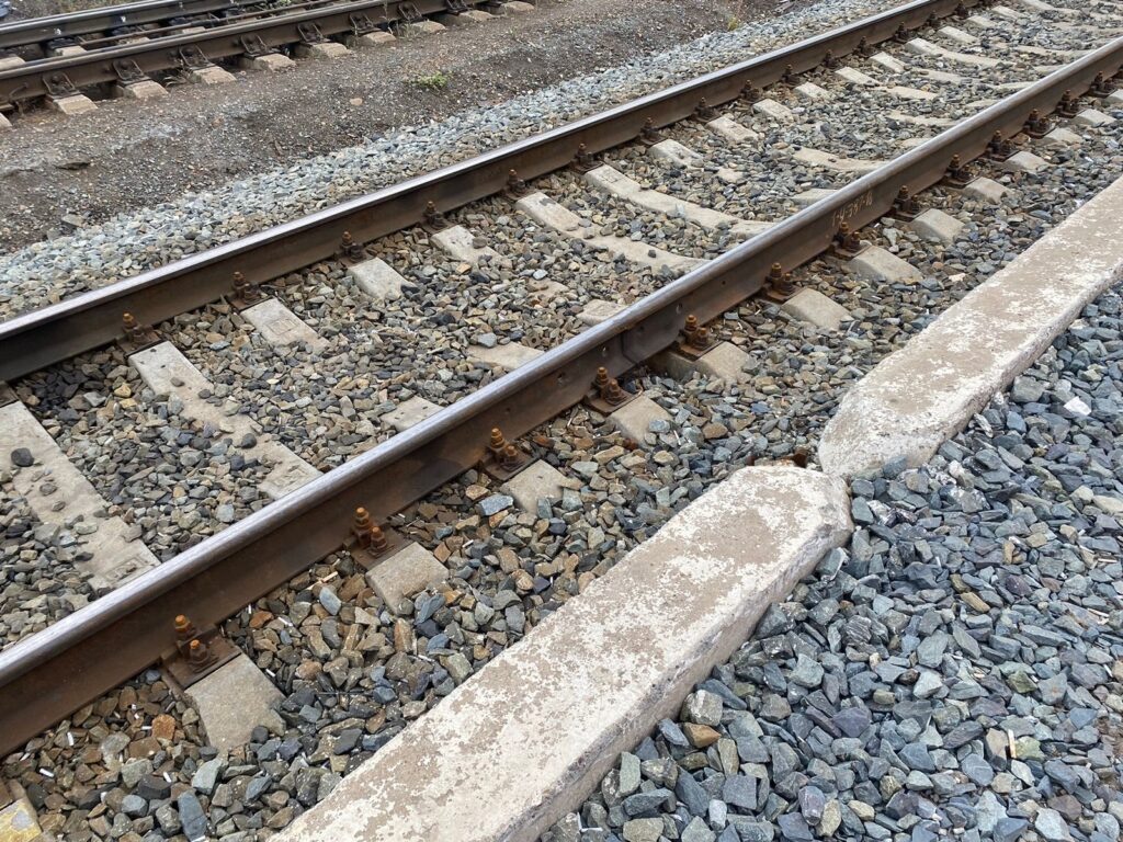    Фото: В курсе.ру Ульяна Бажанова