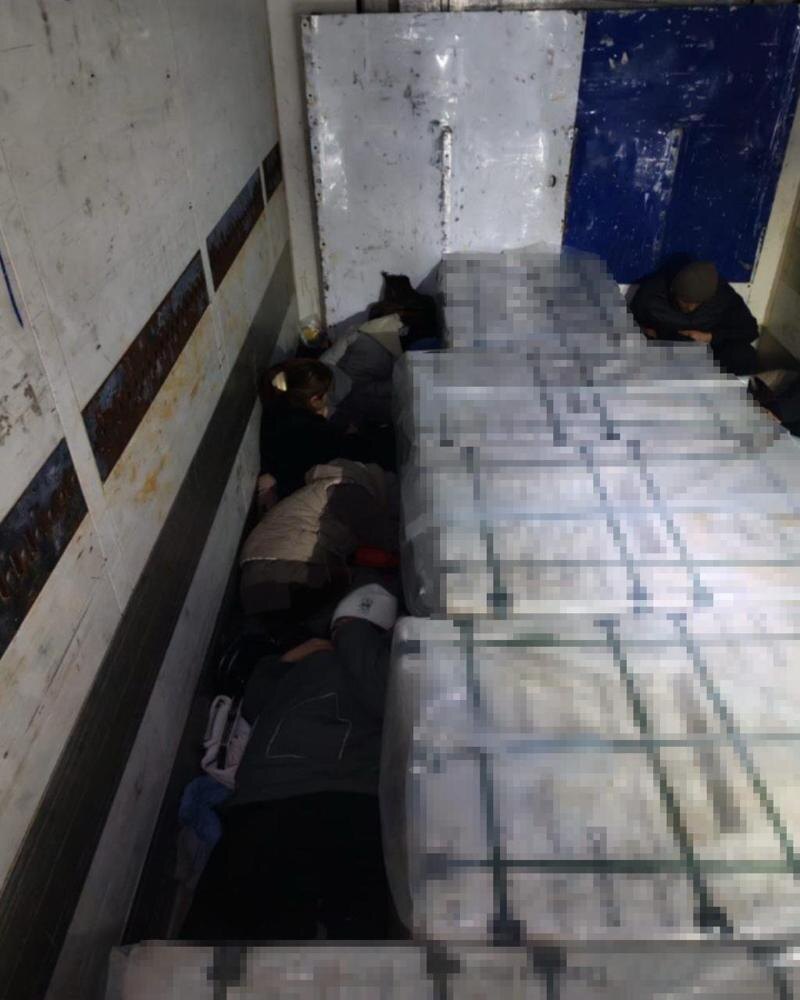    Нелегальные мигранты