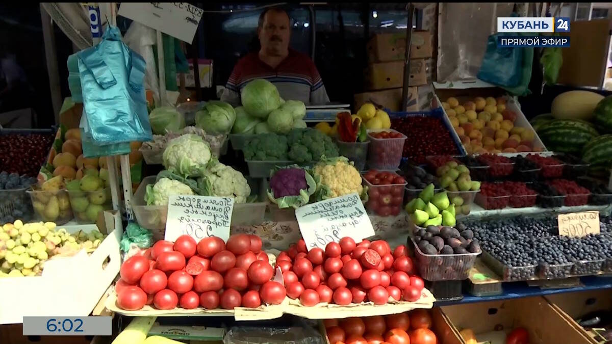    Скриншот видео телеканала «Кубань 24»