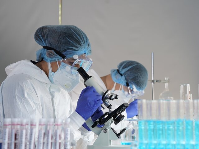    Фото: 123RF.com/janonkas