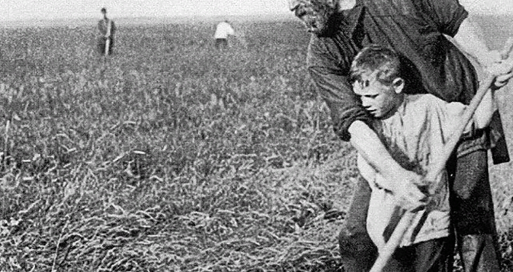 Онтологический аспект развития русской деревни. Глава 4.4. Часть 2. Мировоззрение русских крестьян (земля и труд).