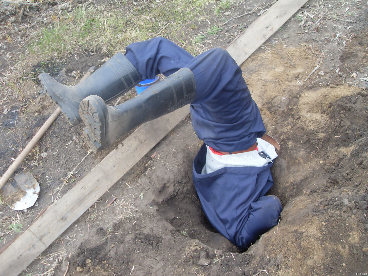 Яндекс картинки