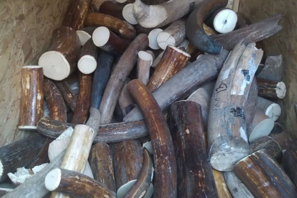    Фото: t.me/mmtproc