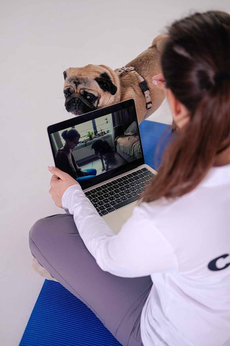 Дрессировка онлайн с ClubPet