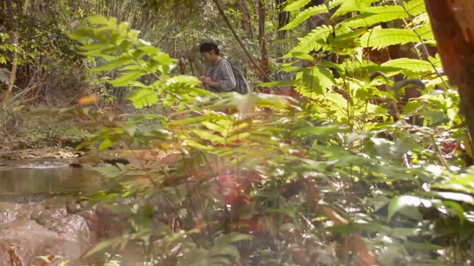 ФОТО: Кадр из программы "Загадки человечества", РЕН ТВ