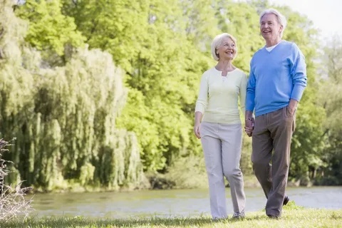 Картина из открытого источника сети Интернет.