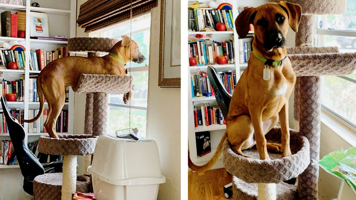 А чего вы удивляетесь? Мы хотим таких же прав! 