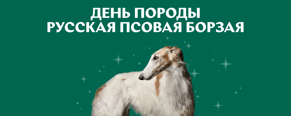 Конференция День породы Русская псовая борзая