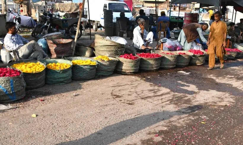     Продажа лепестков цветов ко Дню всех влюбленных в Карачи. © РИА Новости. Абид Мажар