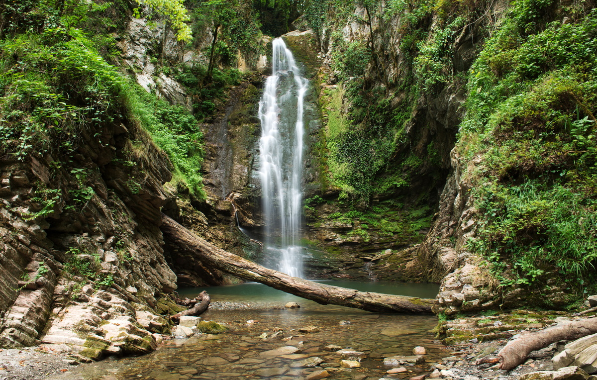 Артур Лебедев/ТАСС