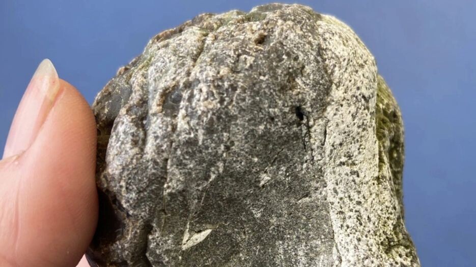    Фото: Lorna Roberts/Shutterstock/Fotodom