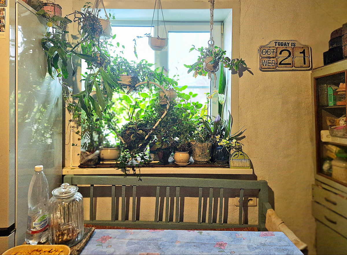 Фото автора 