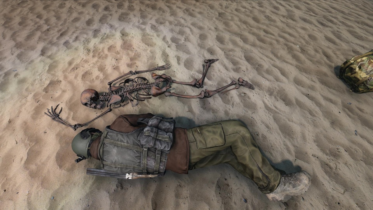 DayZ: Что такое выживание?