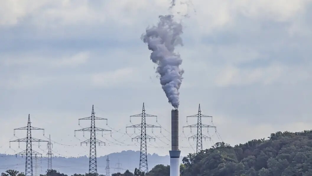    Фото: IMAGO/Arnulf Hettrich/Globallookpress