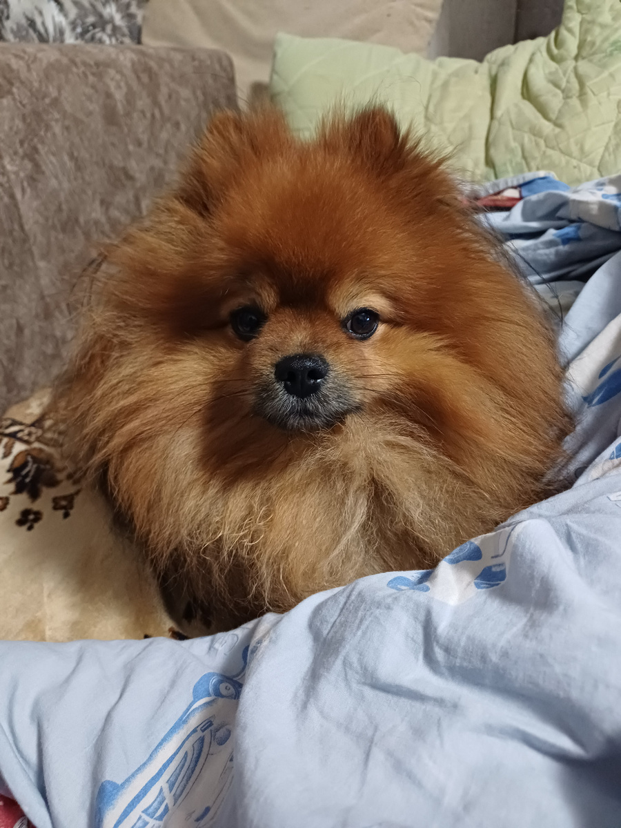 Это я Кексик.