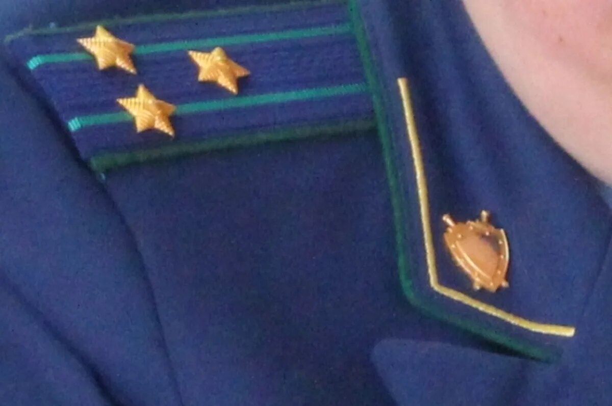    Блогеру Ефремову утвердили обвинение по делу о финансировании ФБК