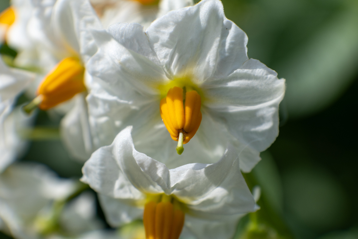 Все фото, как и всегда, авторские