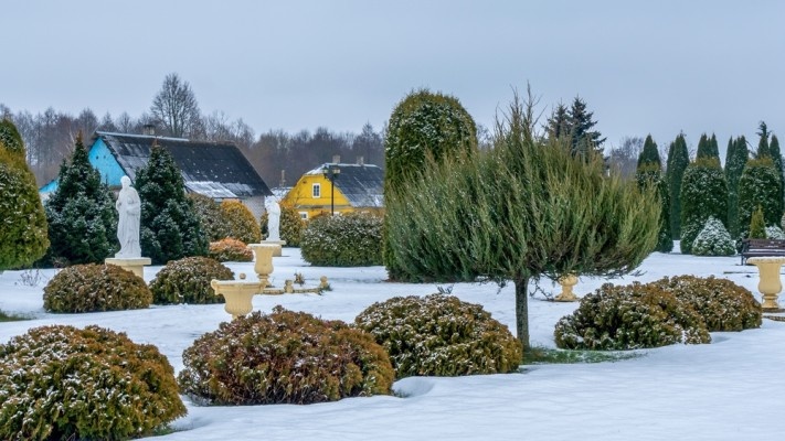 Источник фото shutterstock.com