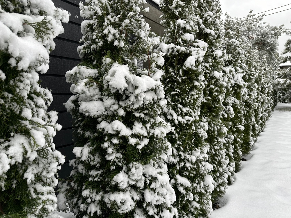 Источник фото shutterstock.com