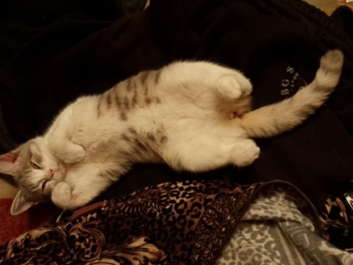 Про гармонию Кукусю и вдохновение Ирины Анатольевны.