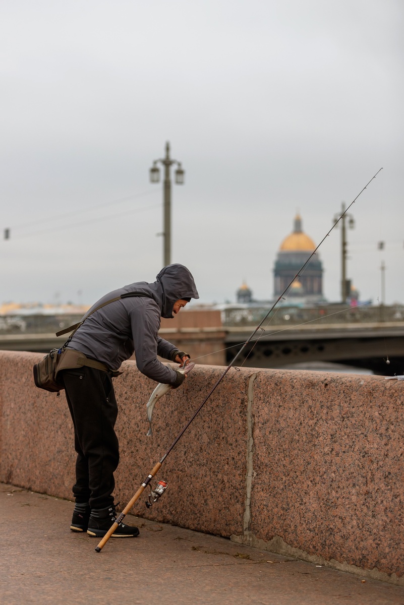 Фото: Кирилл Сиротюк, sfotoz.ru