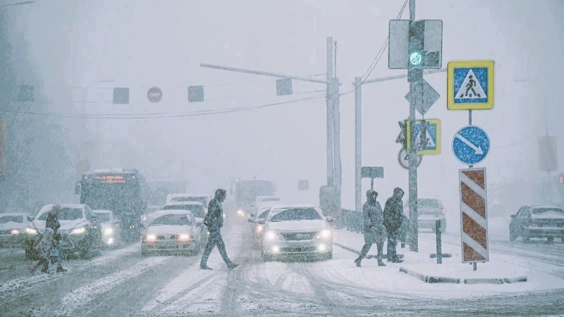 Источник Яндекс Картинки