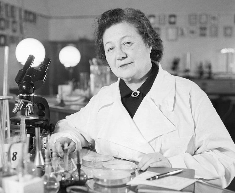 Фото: Ростовский государственный медицинский университет