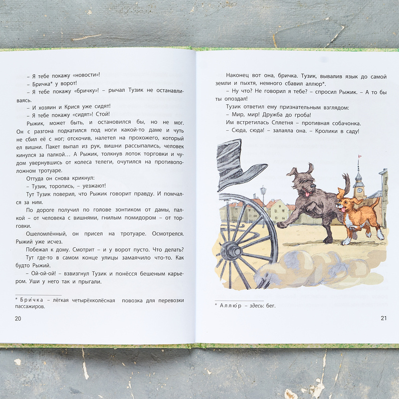 Иллюстрации Николая Панина