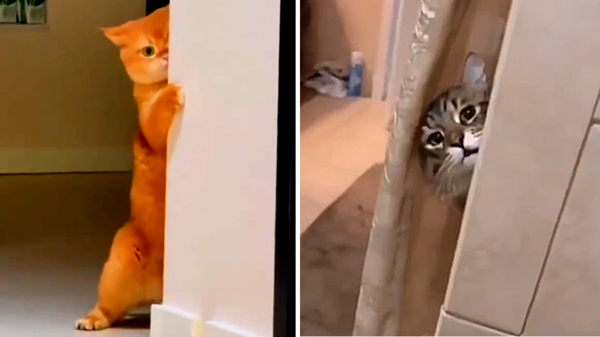 Ты чем там без меня занимаешься?