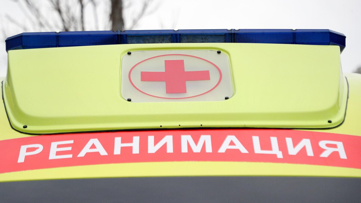    Фото: Belkin Aleksey/globallookpress.com