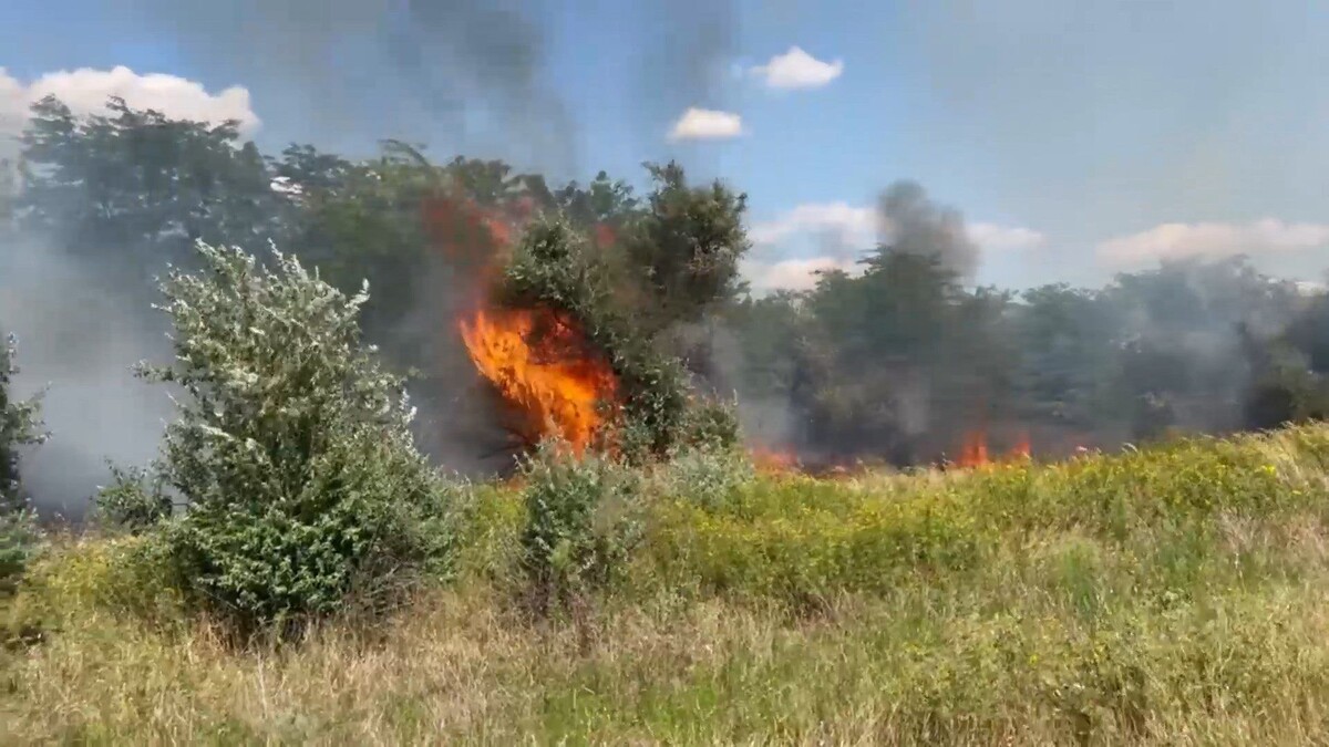    Фото: ТРК Таврия