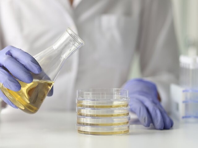    Фото: 123RF.com/megaflopp