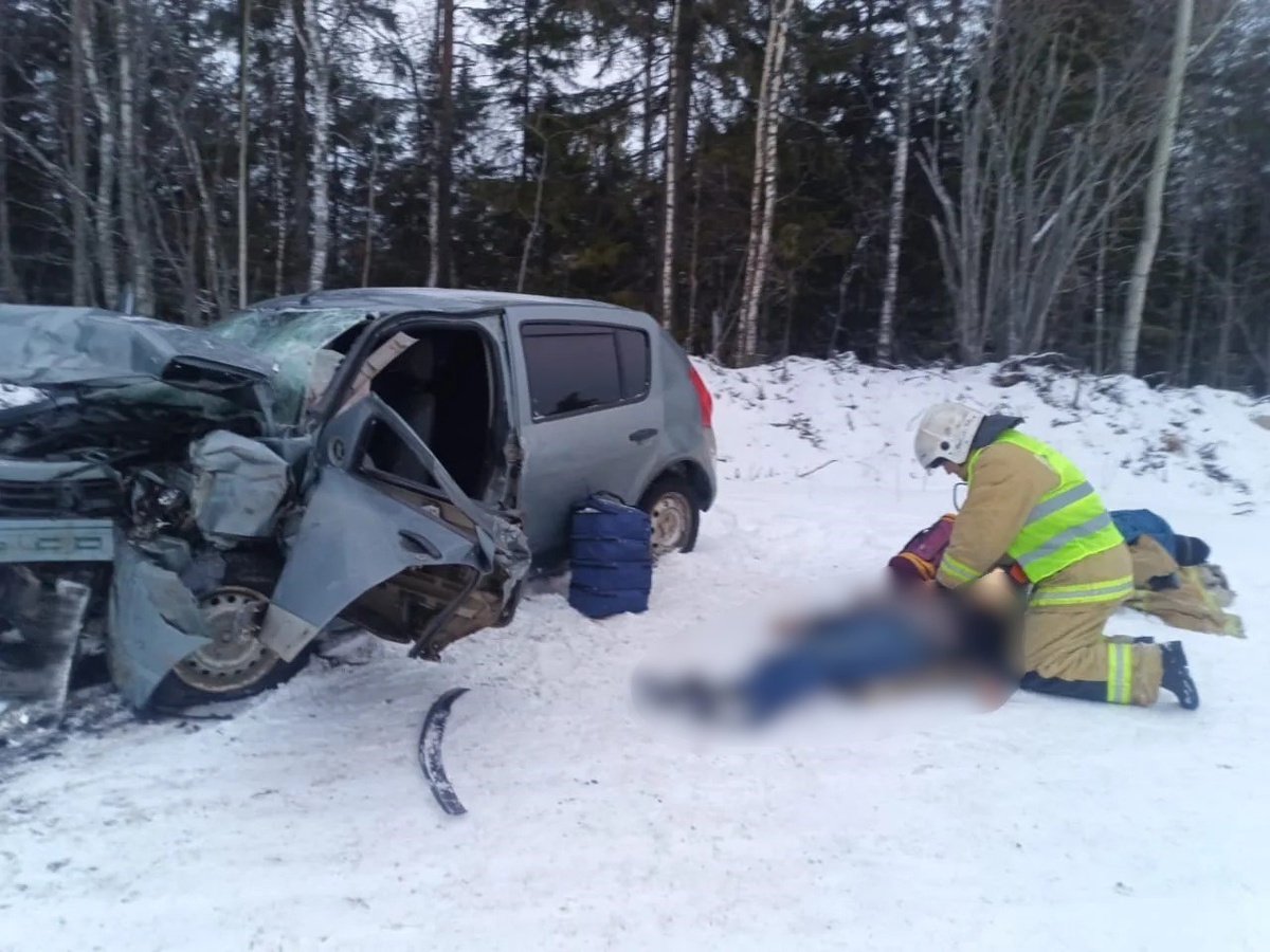    Фото: Госкомитет Карелии по ОЖ и БН