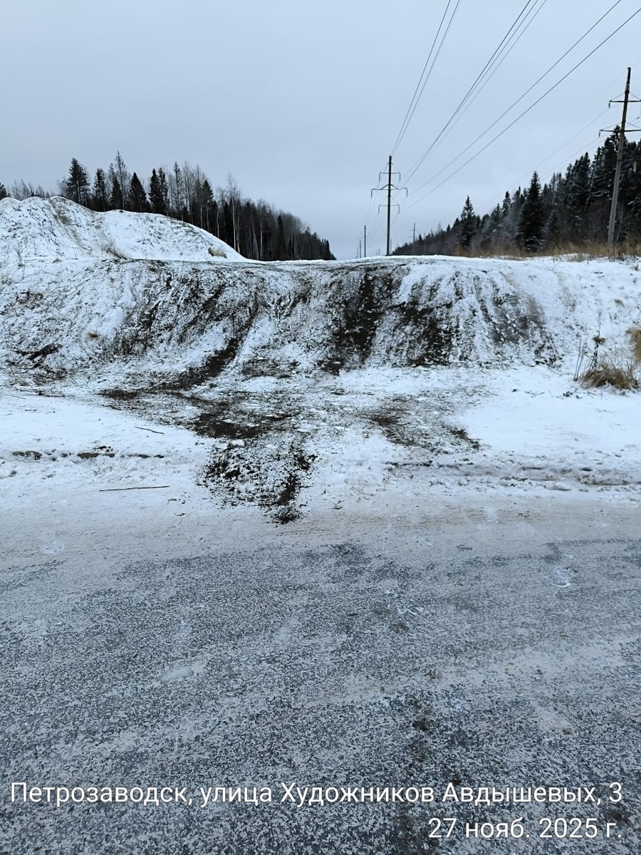    Фото: Госавтоинспекция Петрозаводска / ВК