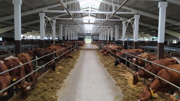    © Sputnik / Николай Михновец