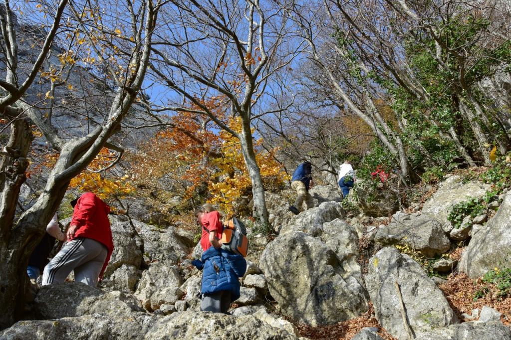 Фото: Гала Амарандо