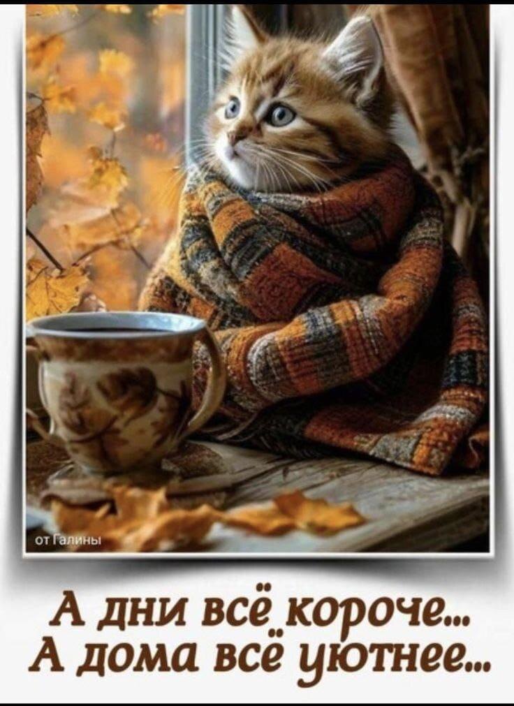 из интернета